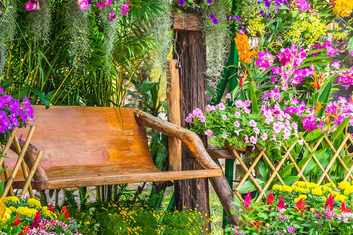 Tips To Create A Perfect Flower Garden